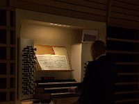IMG 5981